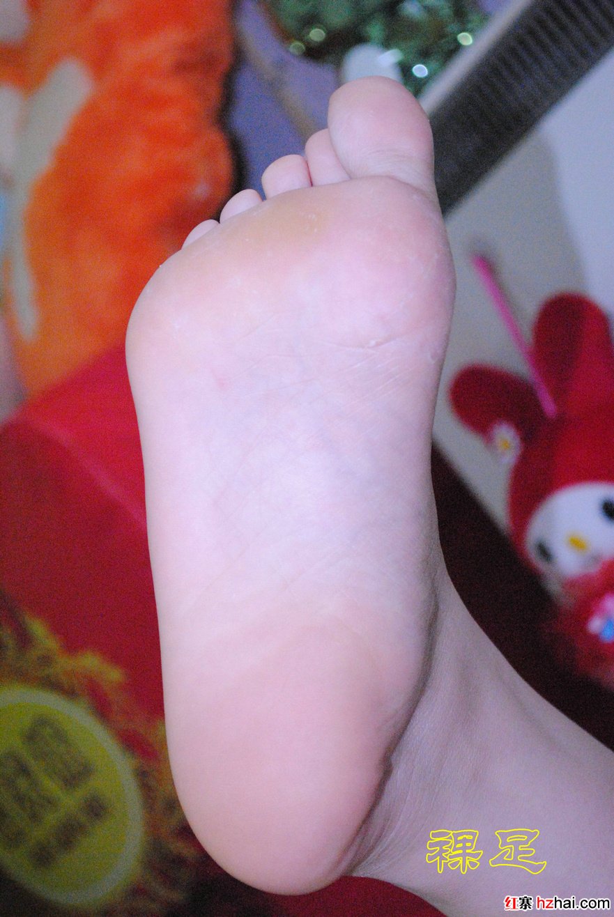 DSC_0223.JPG