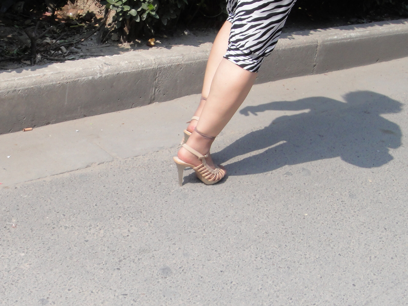 DSC00243.jpg
