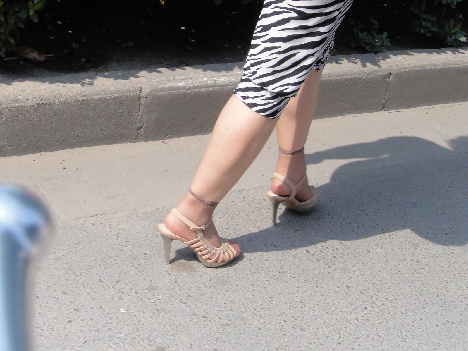 DSC00245.jpg