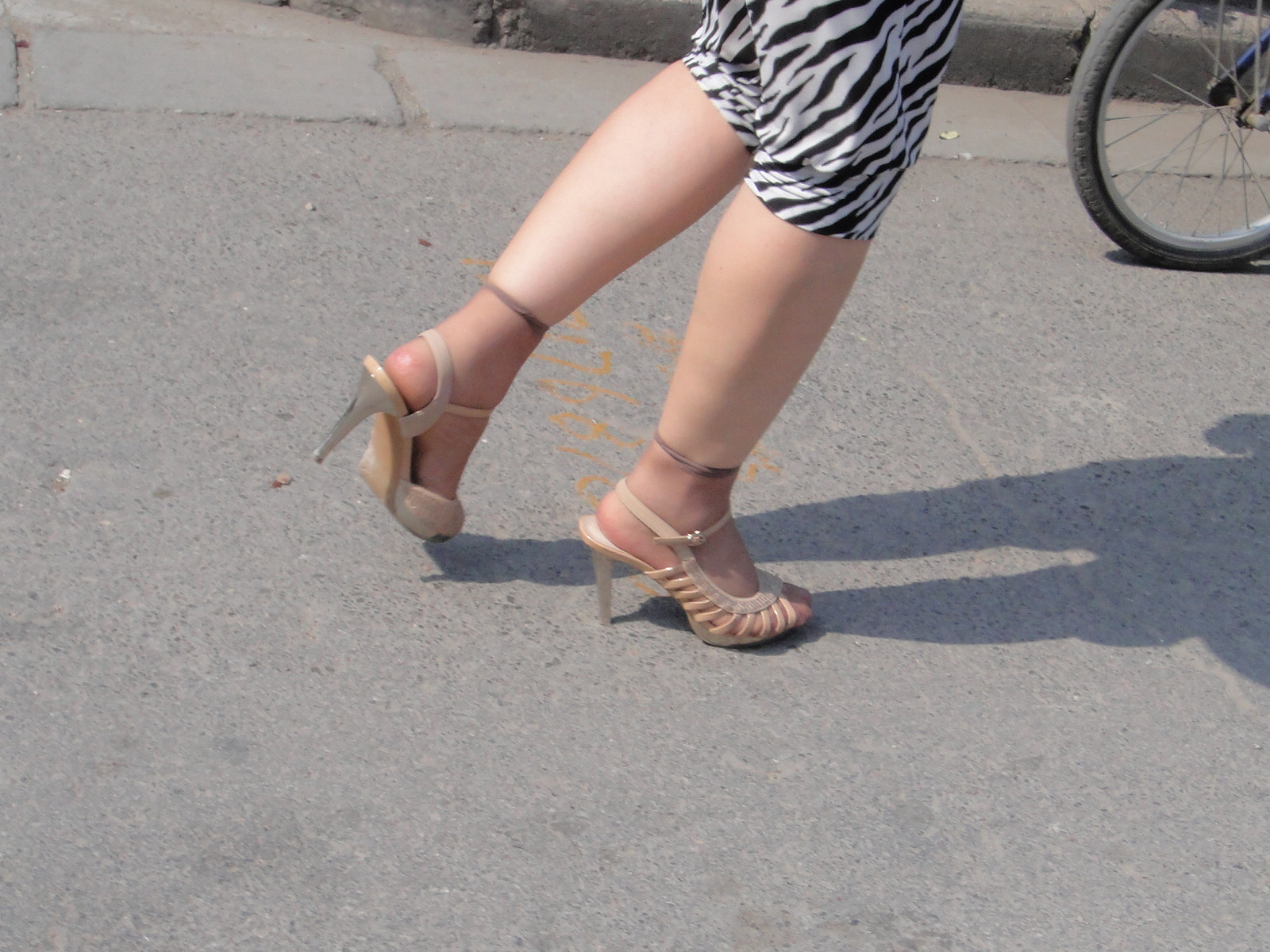 DSC00247.jpg