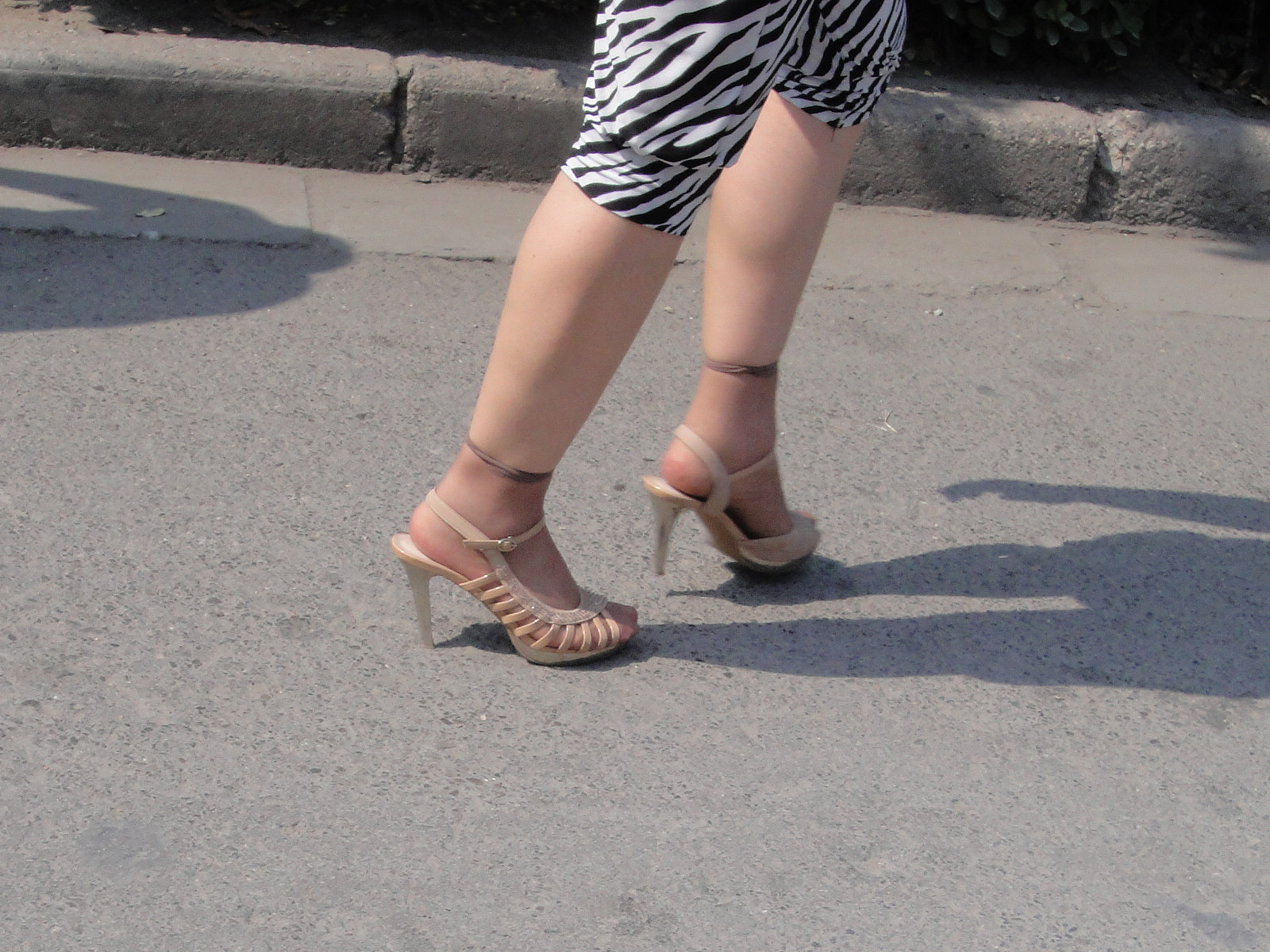DSC00249.jpg