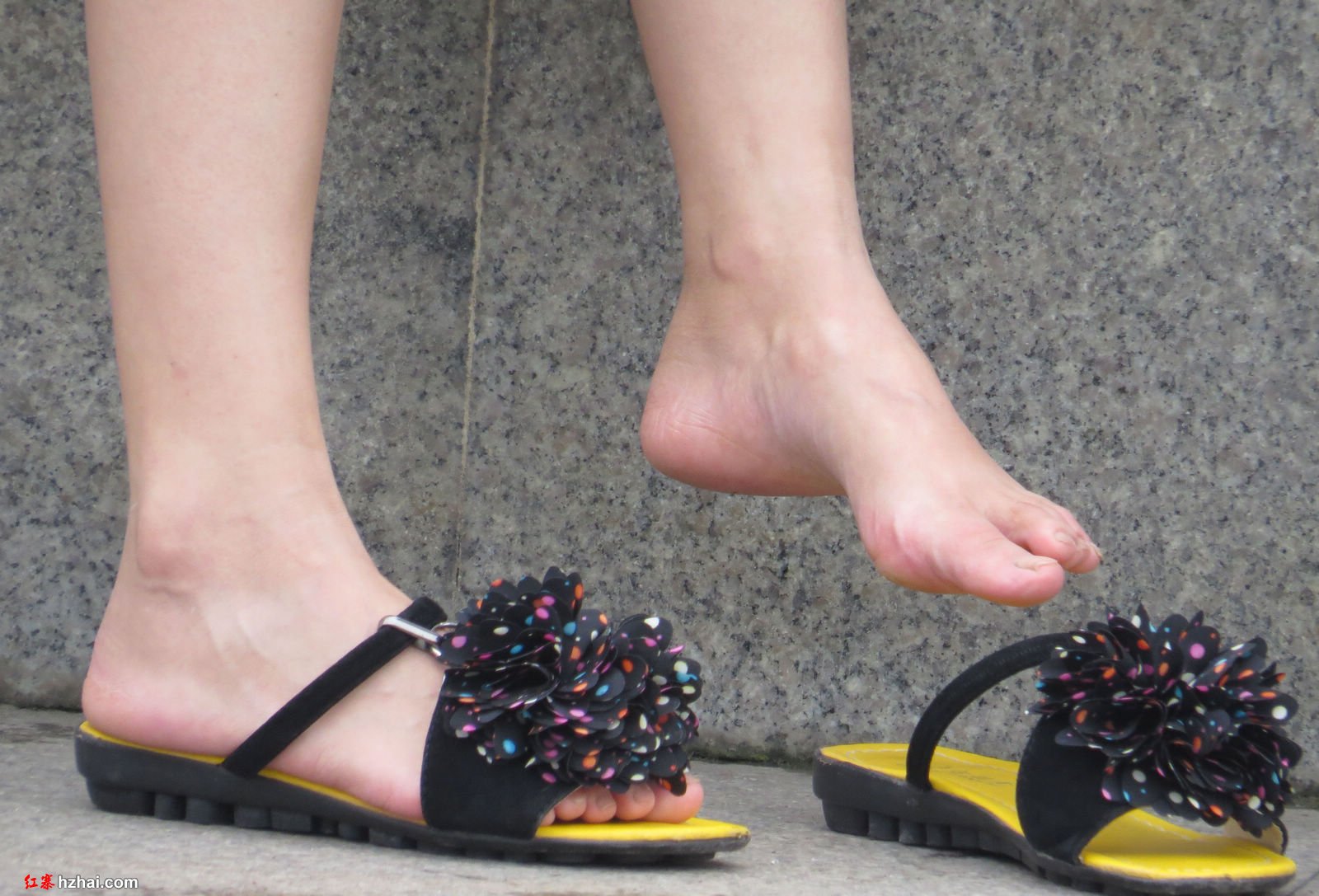照片 310.jpg
